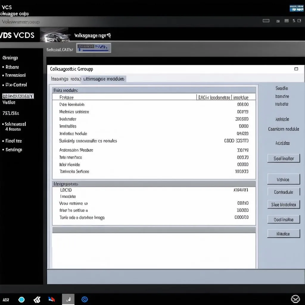 VCDS software interface