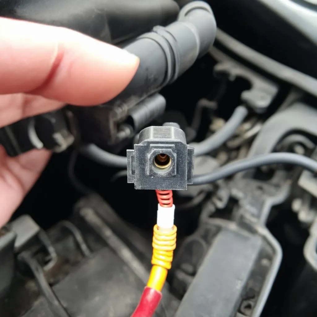 oxygen sensor