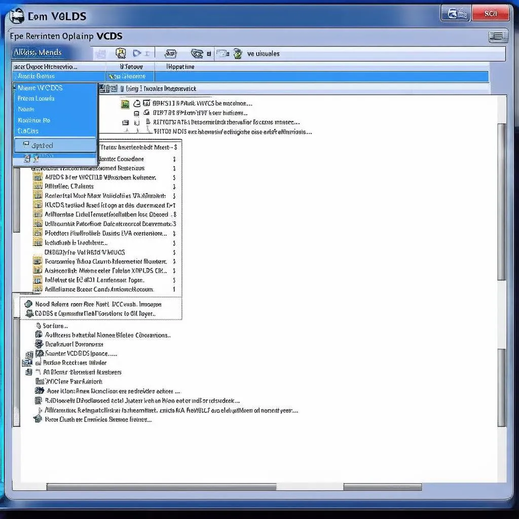 VCDS interface