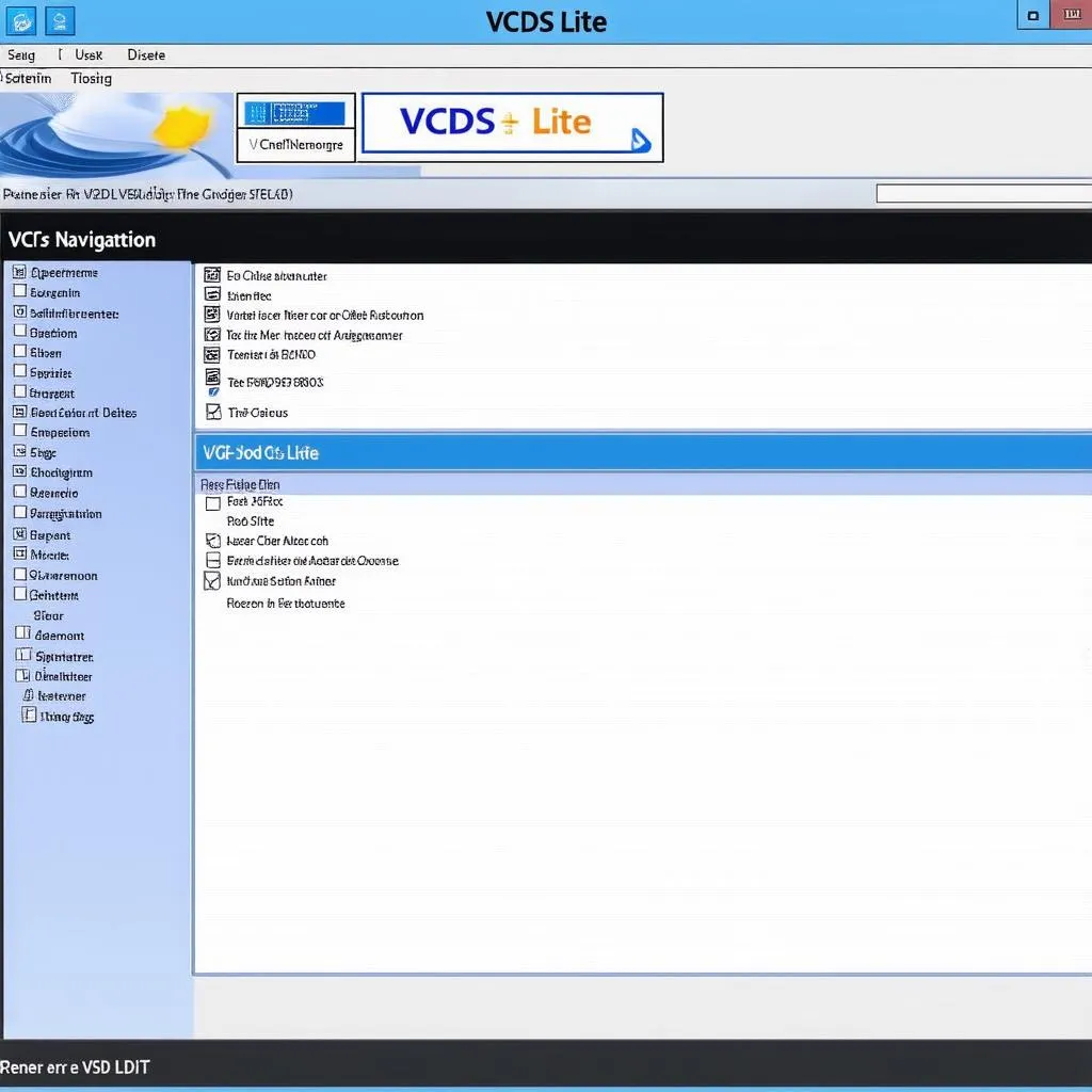 VCDS Lite Software Interface