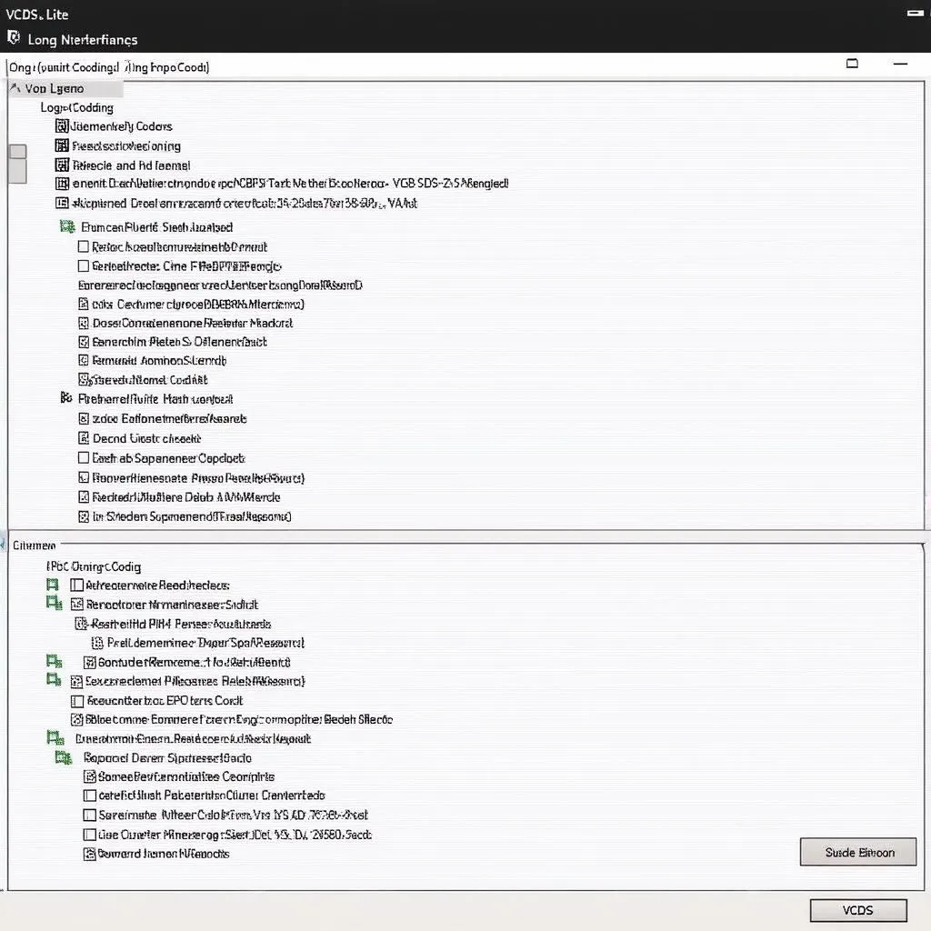 VCDS Long Coding Interface