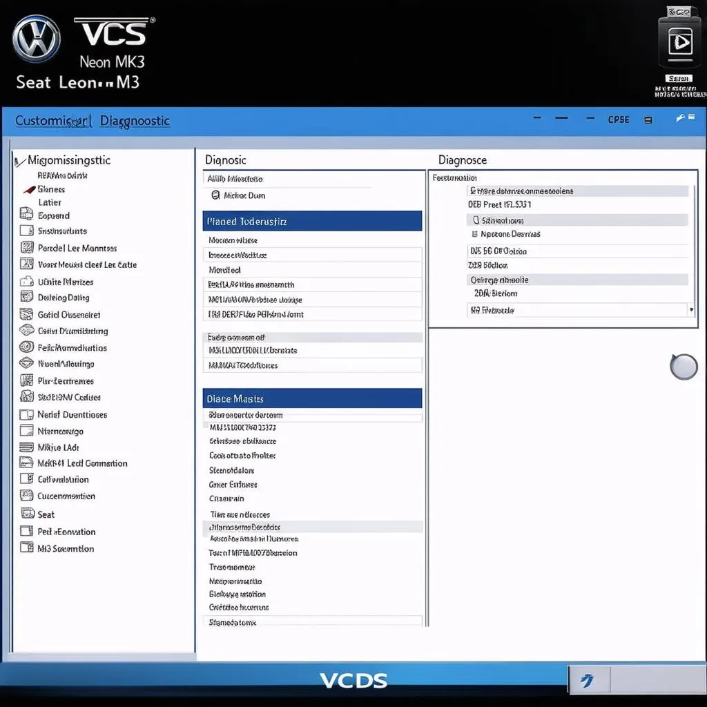 VCDS Software