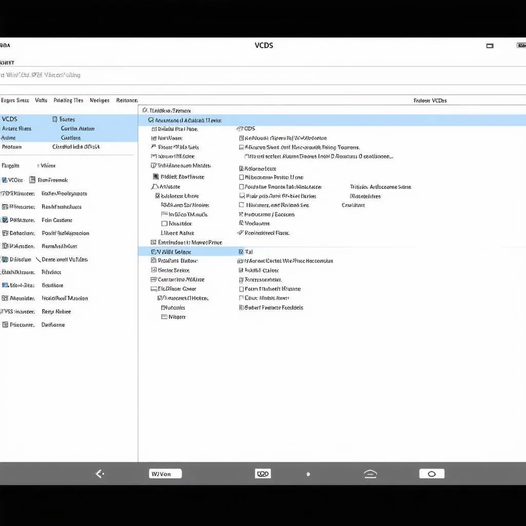 VCDS Software Interface