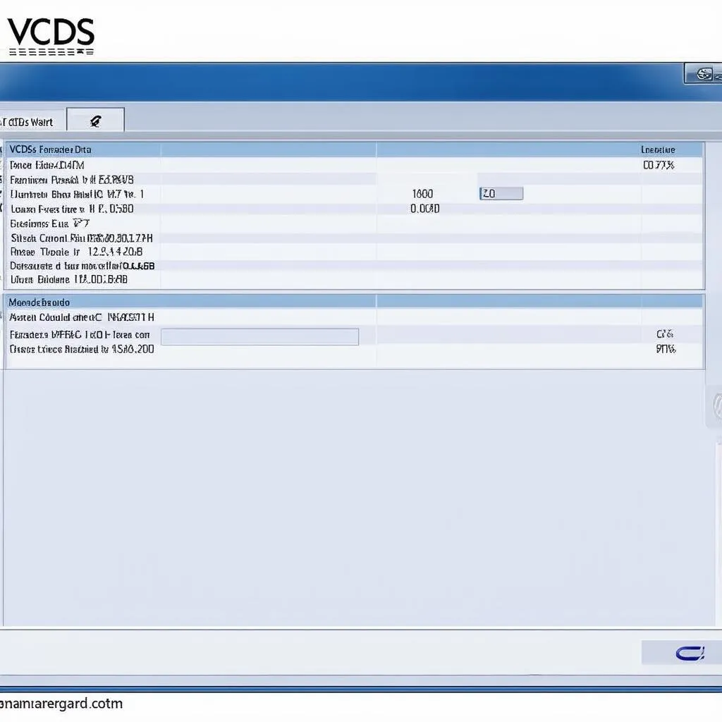 VCDS Software Interface