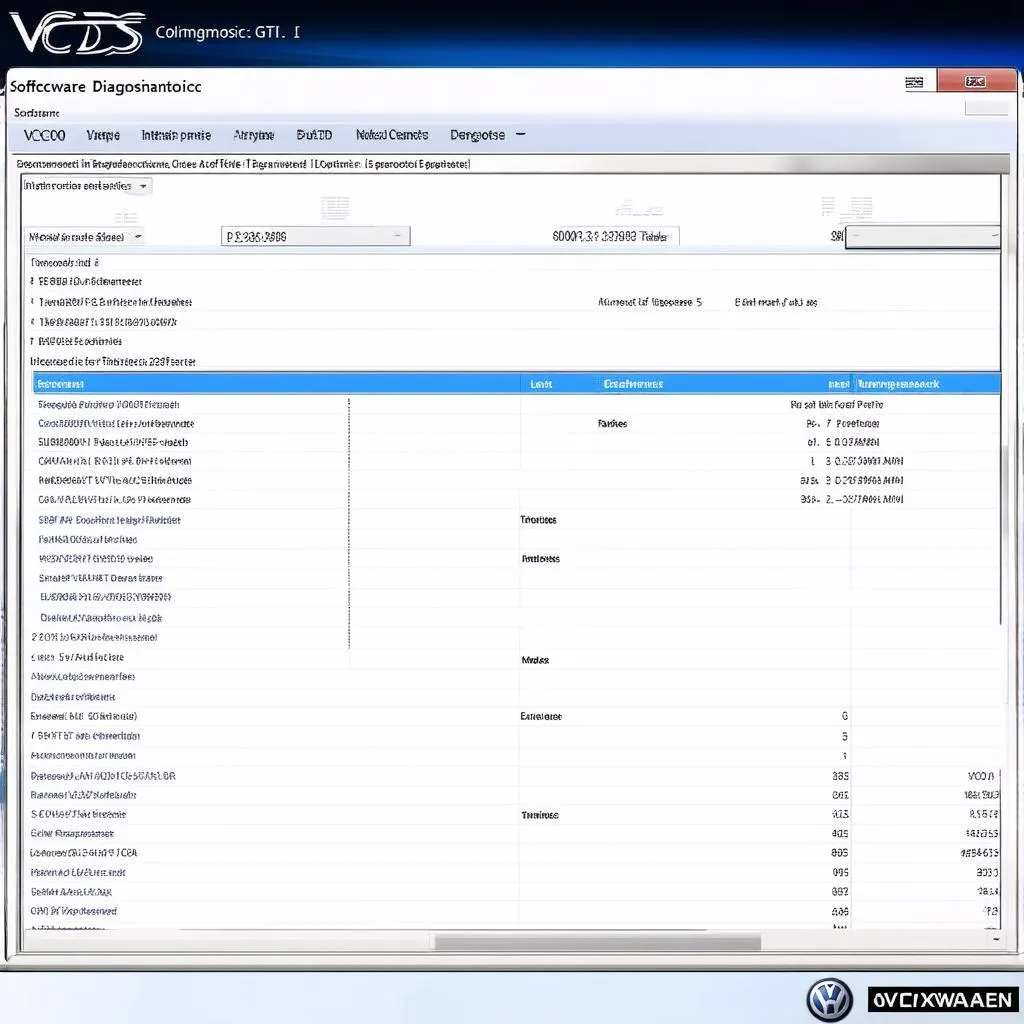 VCDS Software Interface