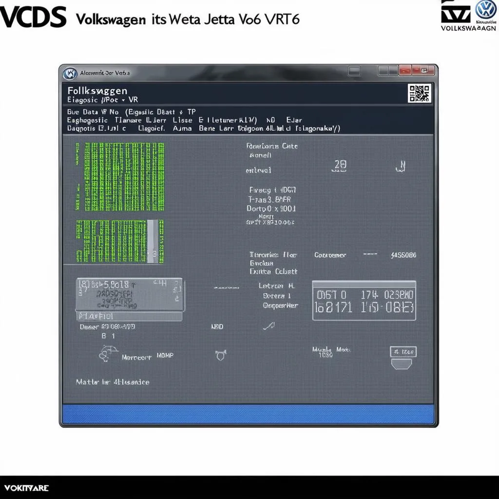 VCDS Software Interface