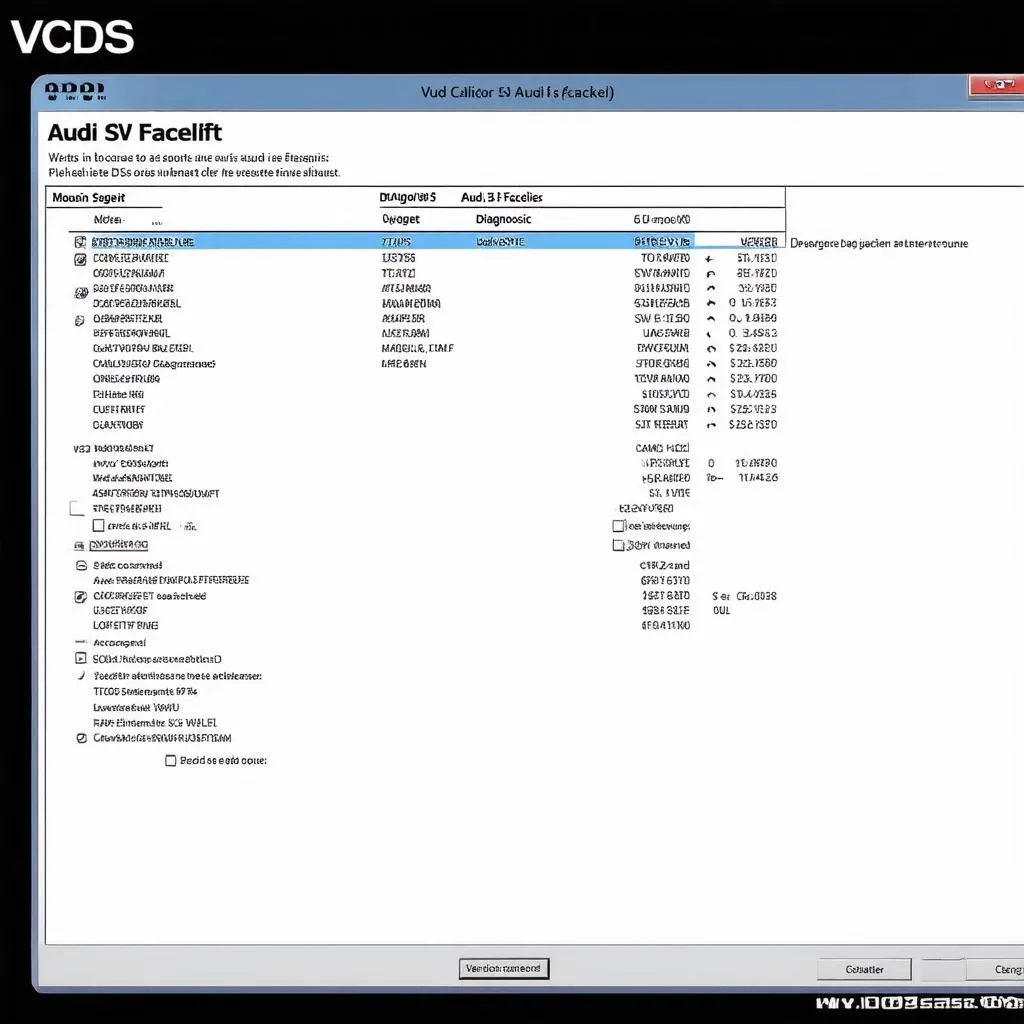 VCDS Software Interface