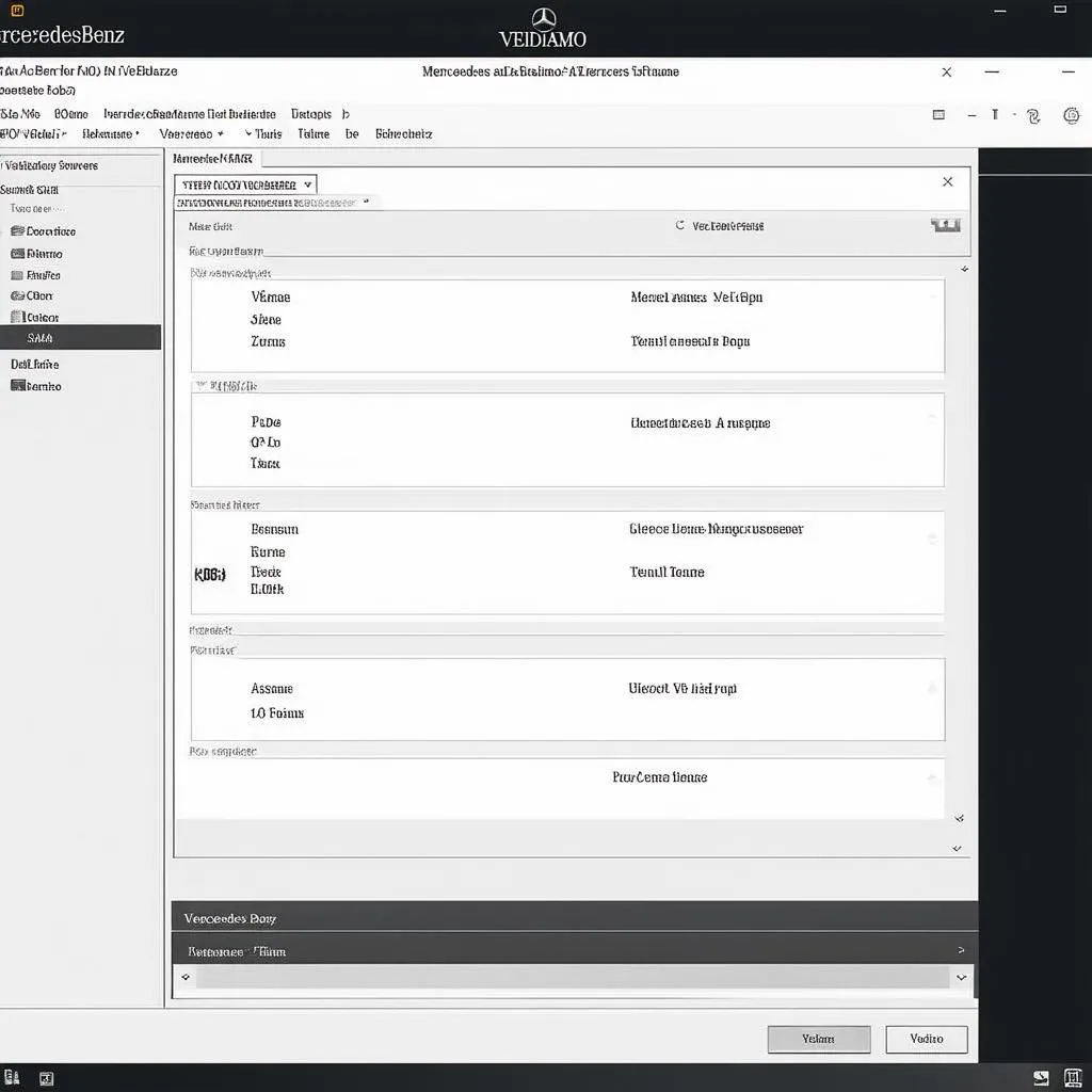 VEDIAMO Software Interface