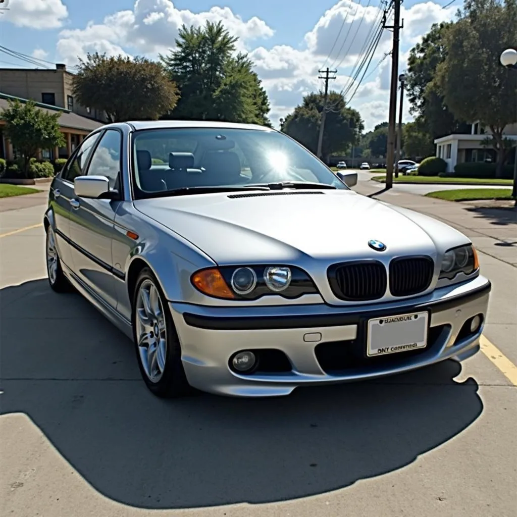 Sleek Silver 2003 BMW 3 Series