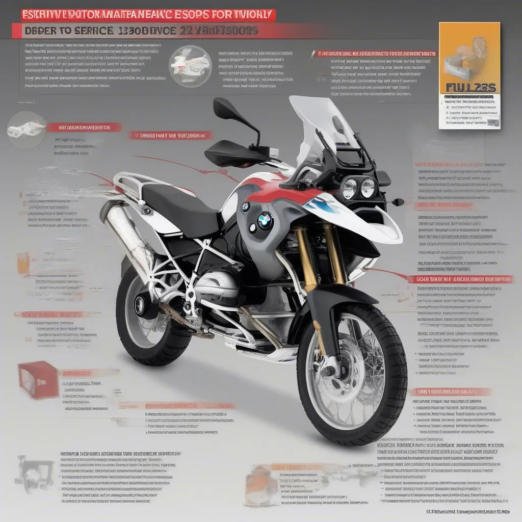 2009 BMW R1200GS Maintenance Tips