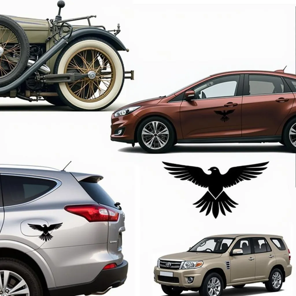 Bird Decals on Different Car Models