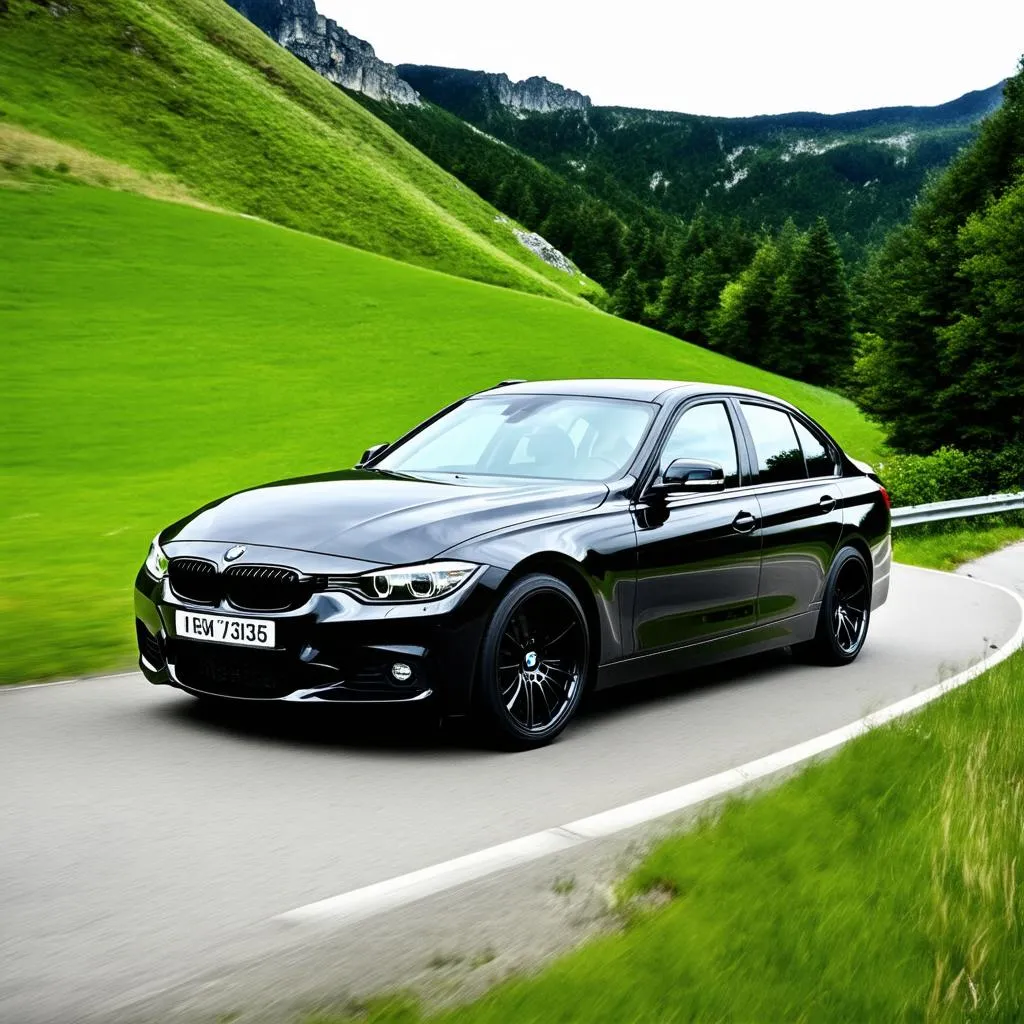 Black BMW 3 Series on a mountain road