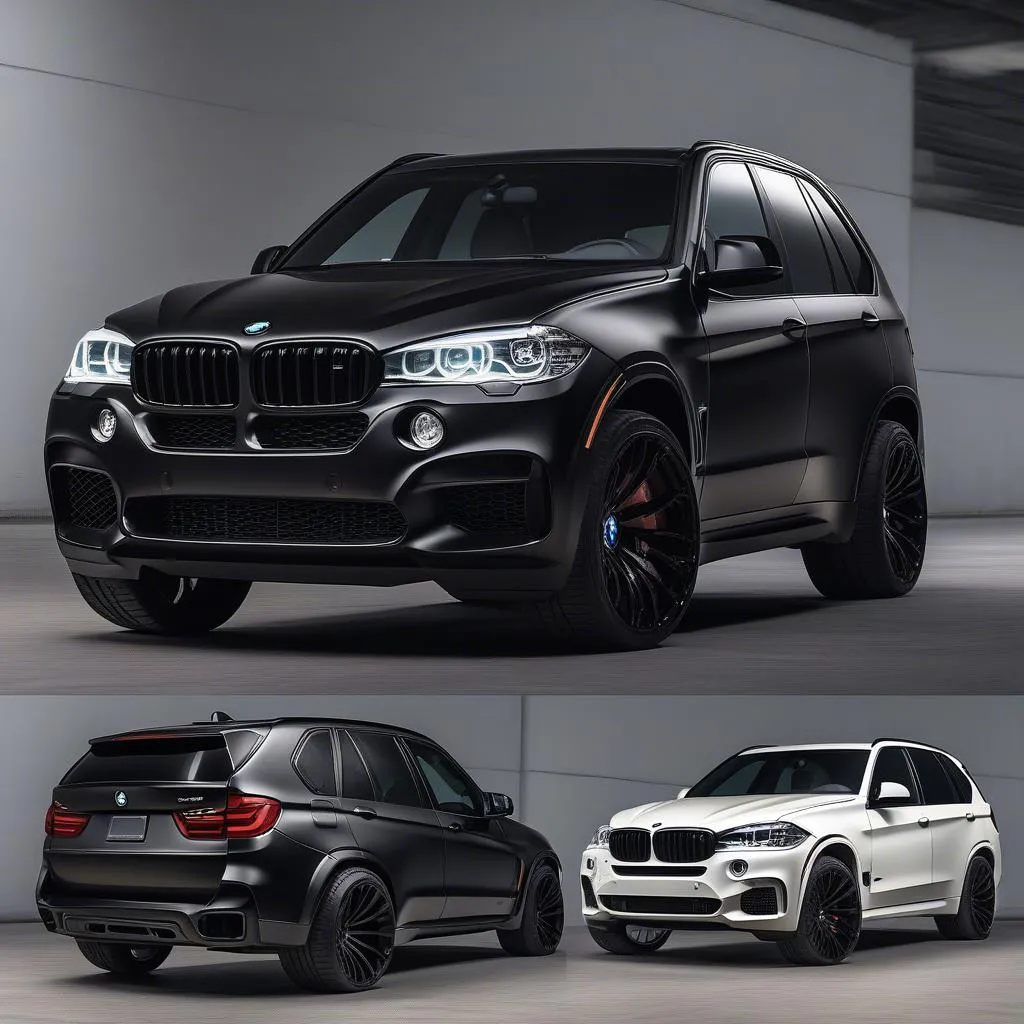 Black BMW X5 22 Inch Wheels Stance