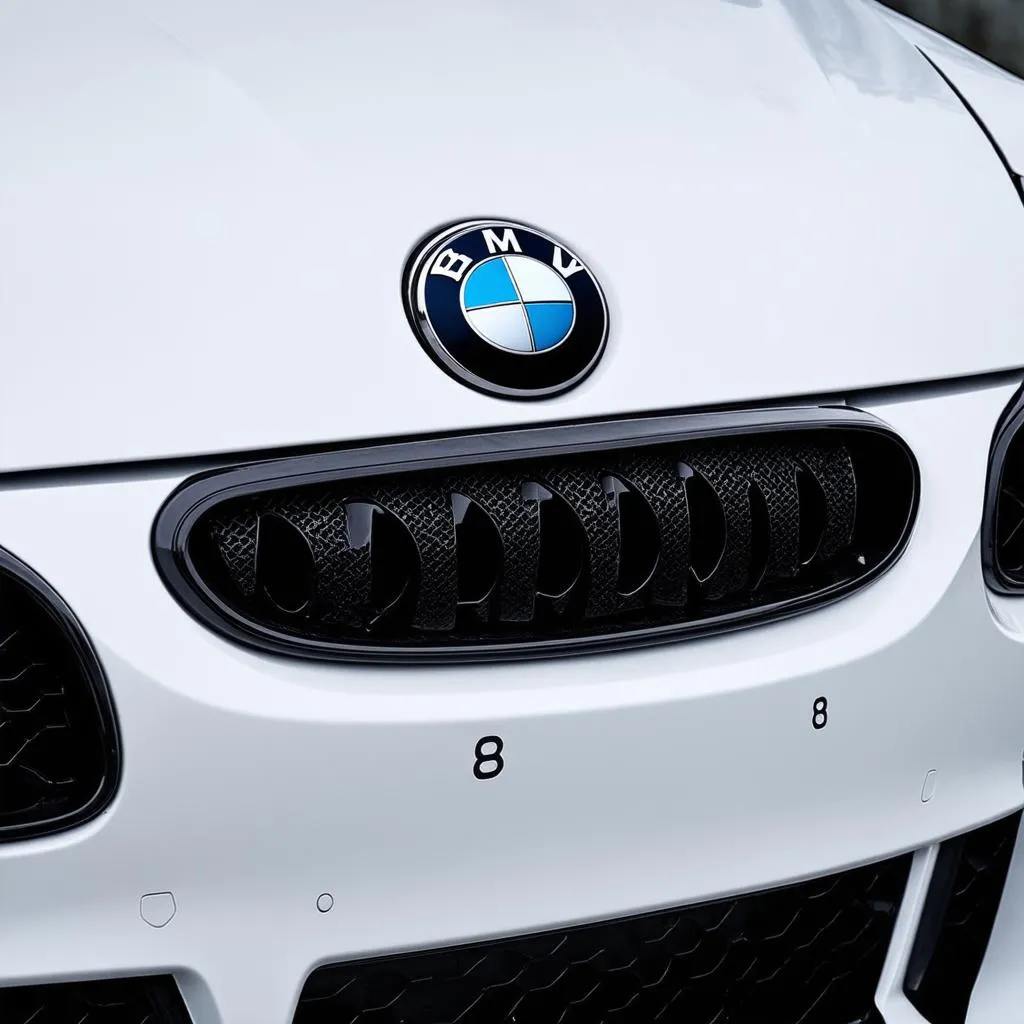 Black Emblems for BMW