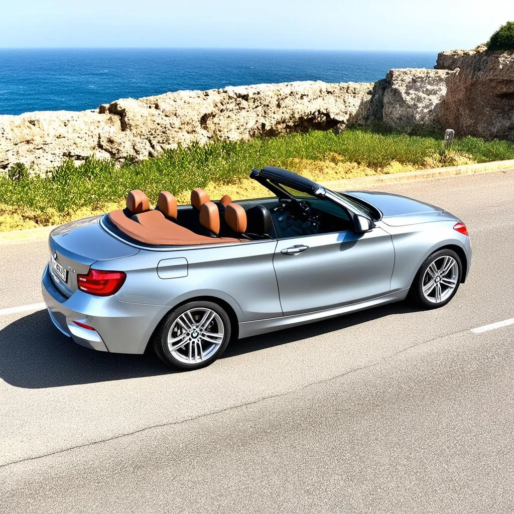 BMW 1 Series Convertible Parked by the Ocean