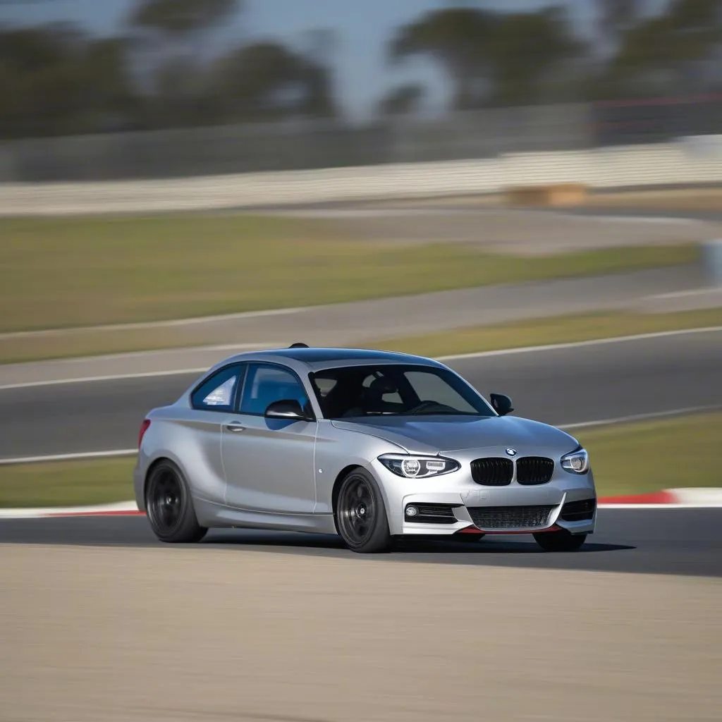 BMW 135i on Track