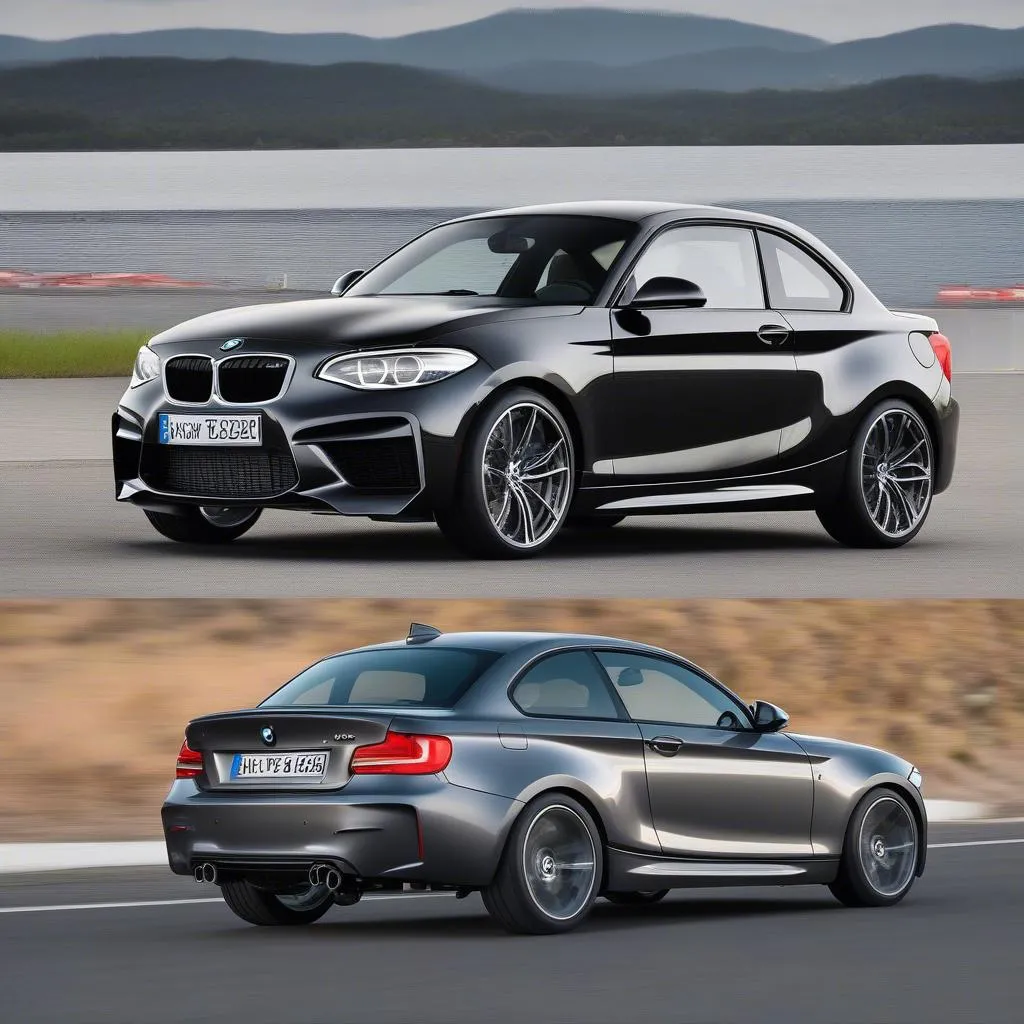 BMW 1M vs BMW 135i: Which is Right for You?