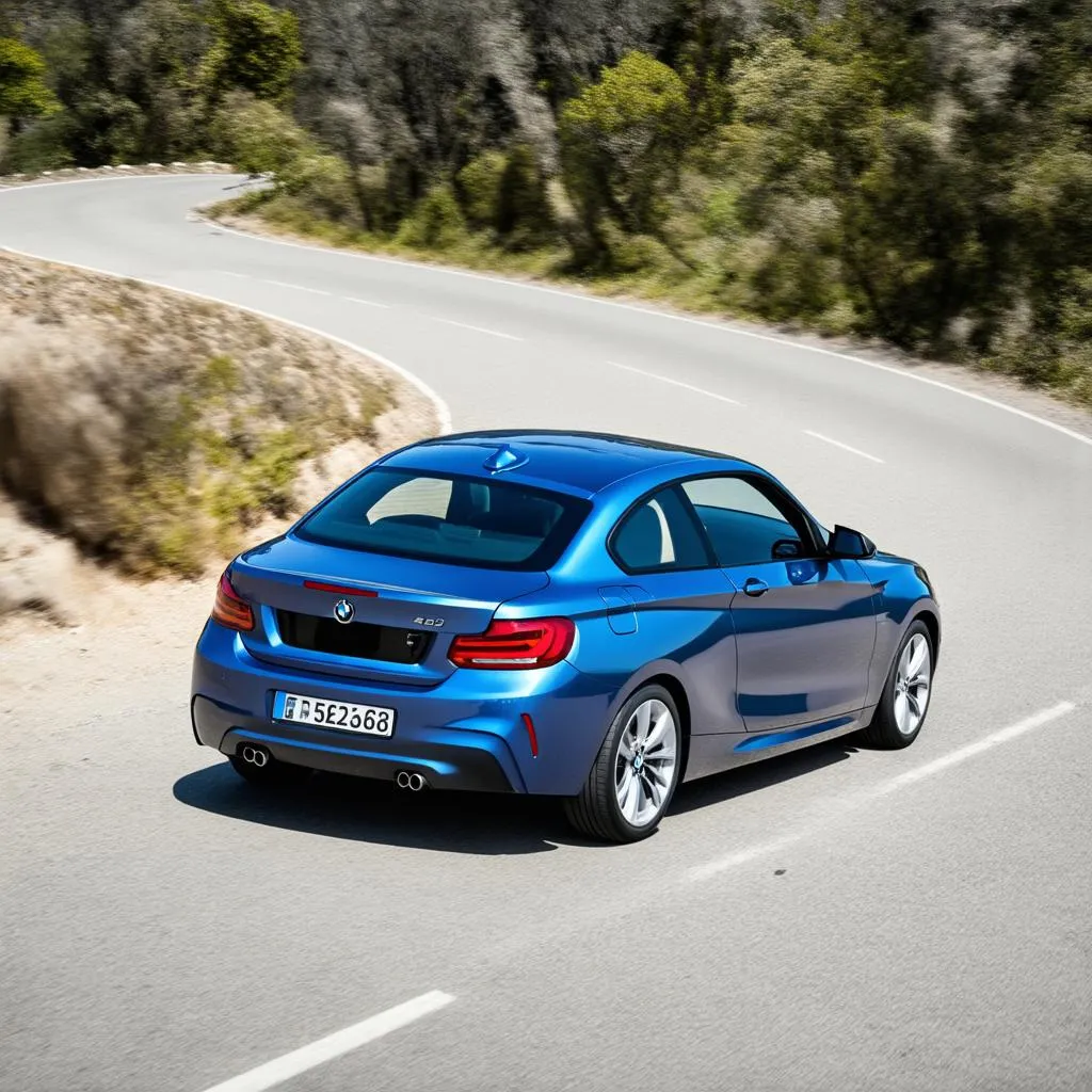 2015 BMW 2 Series 228i Coupe Driving