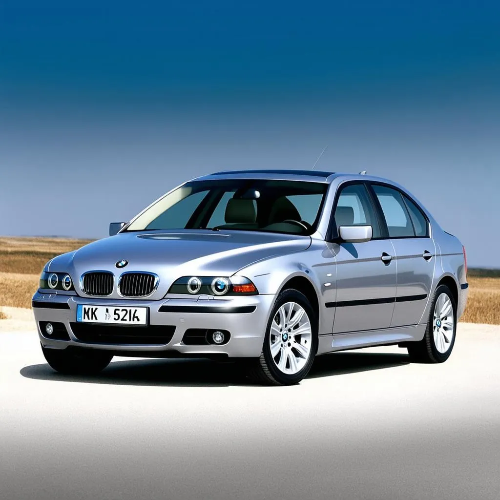 2003 BMW 5 Series Exterior