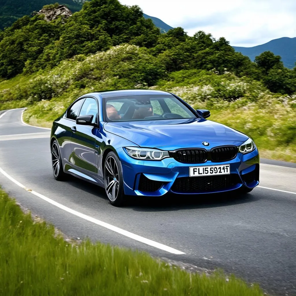 BMW Driving on Road