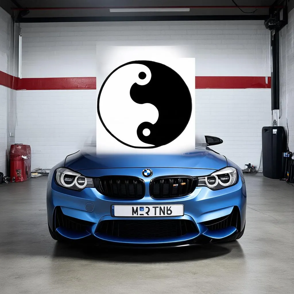 Feng Shui and BMW DTC 005F9A