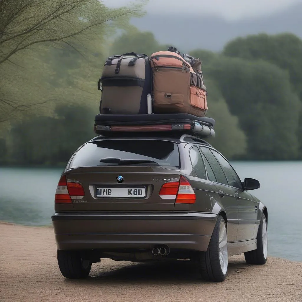 bmw e46 roof bars