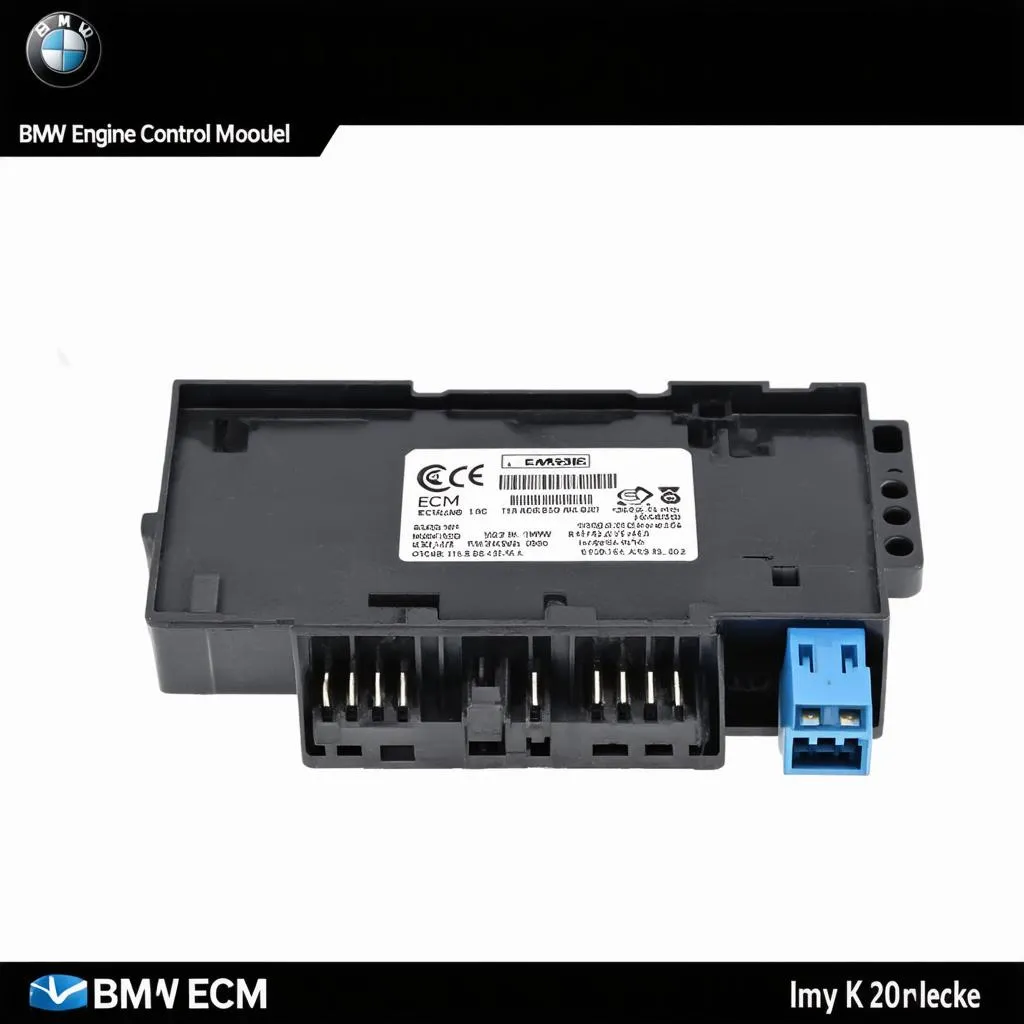 BMW engine control module