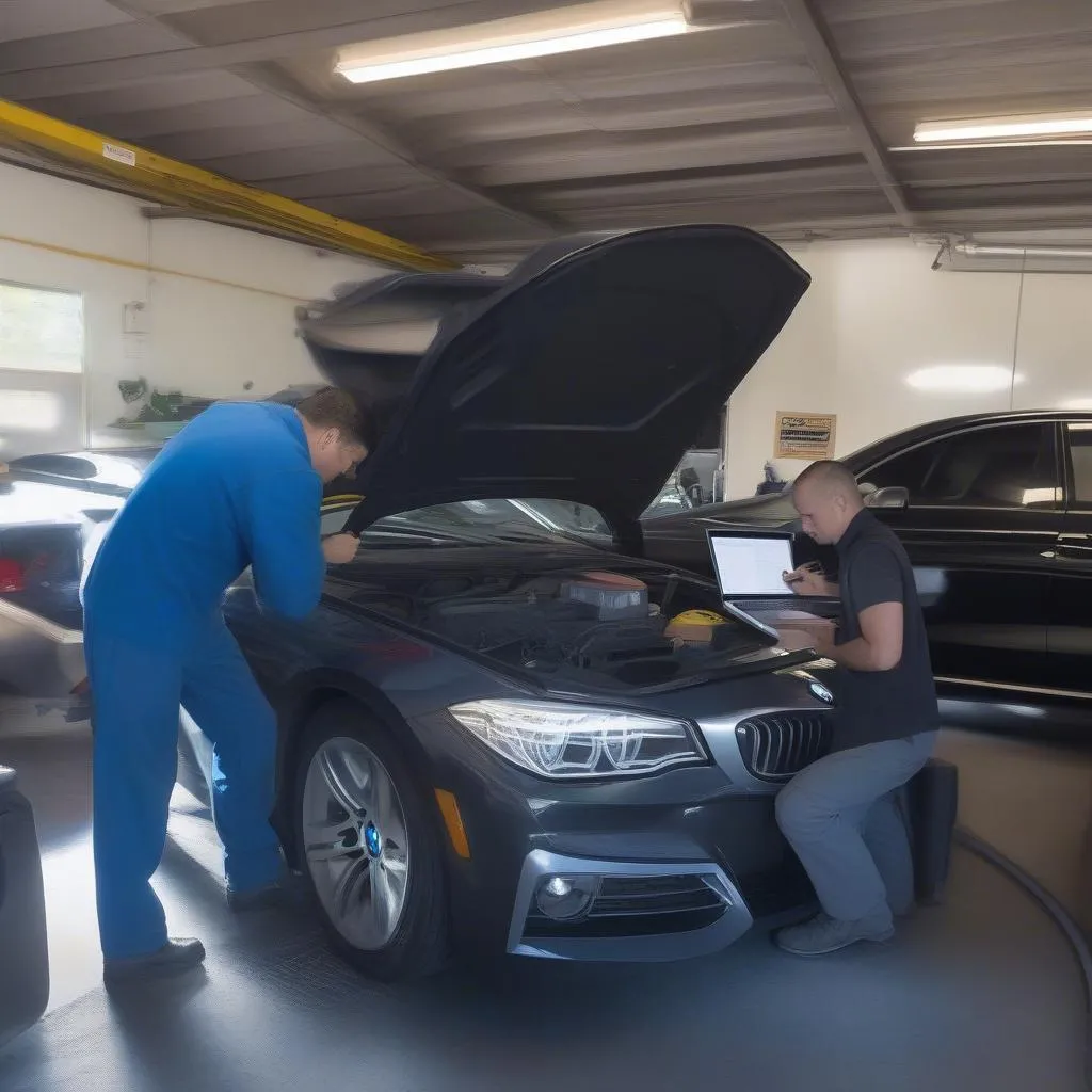 BMW Diagnostics in Gilroy