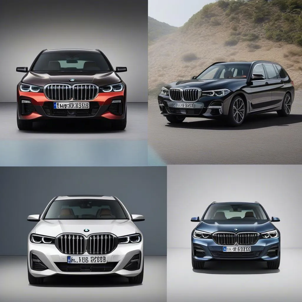 The Evolution of the BMW Grill