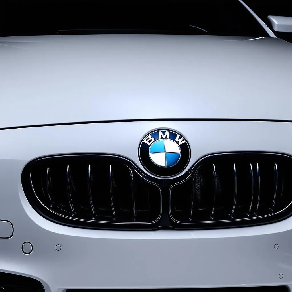 BMW Illuminated Emblem