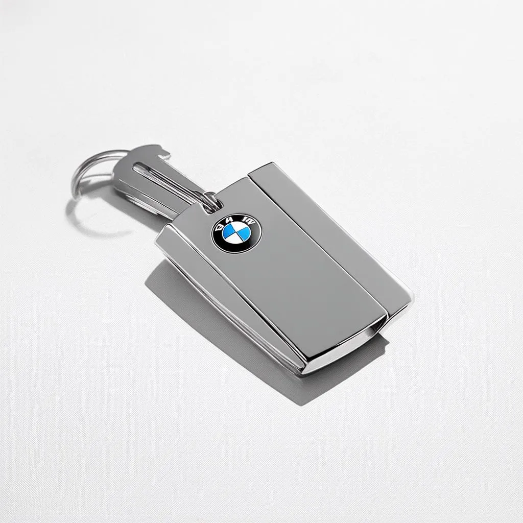 classic-bmw-key-holder