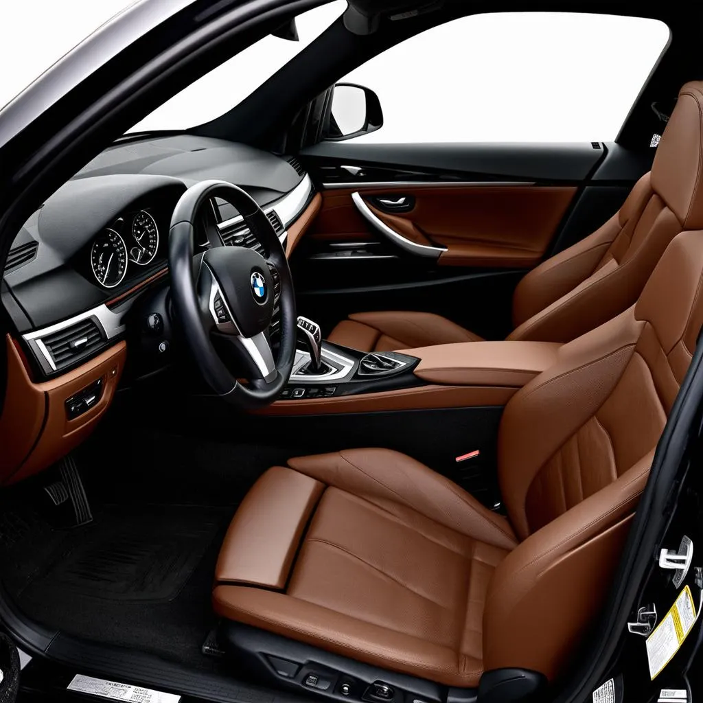 BMW Leather Interior