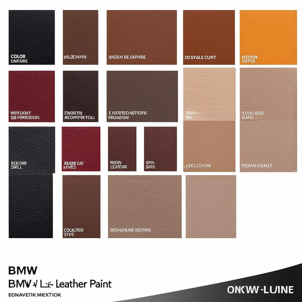 BMW Leather Paint Color Chart