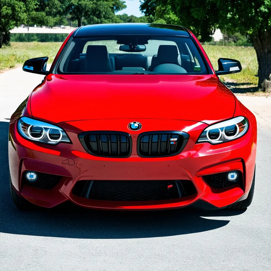 BMW M2 Under ,000