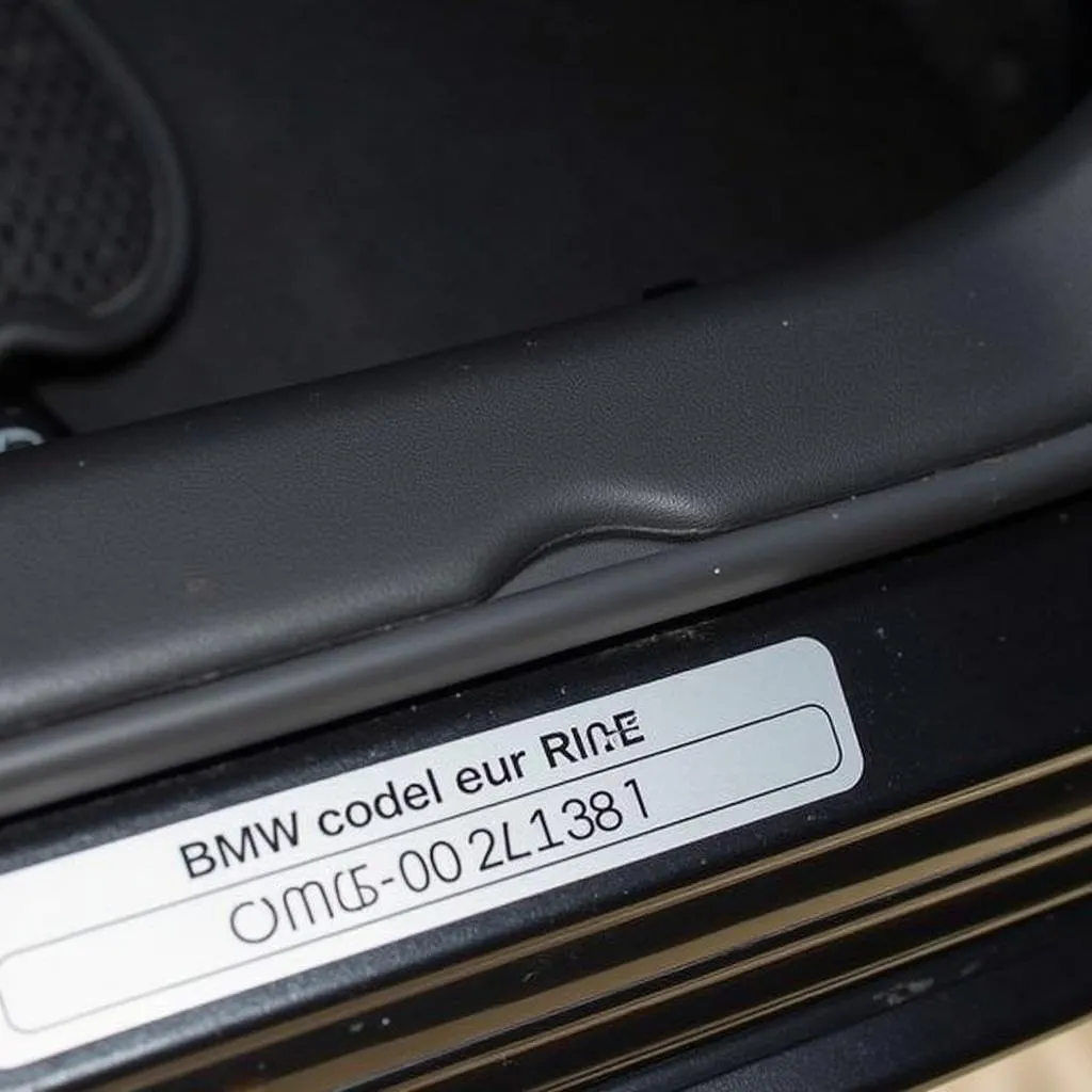 BMW Paint Code Location