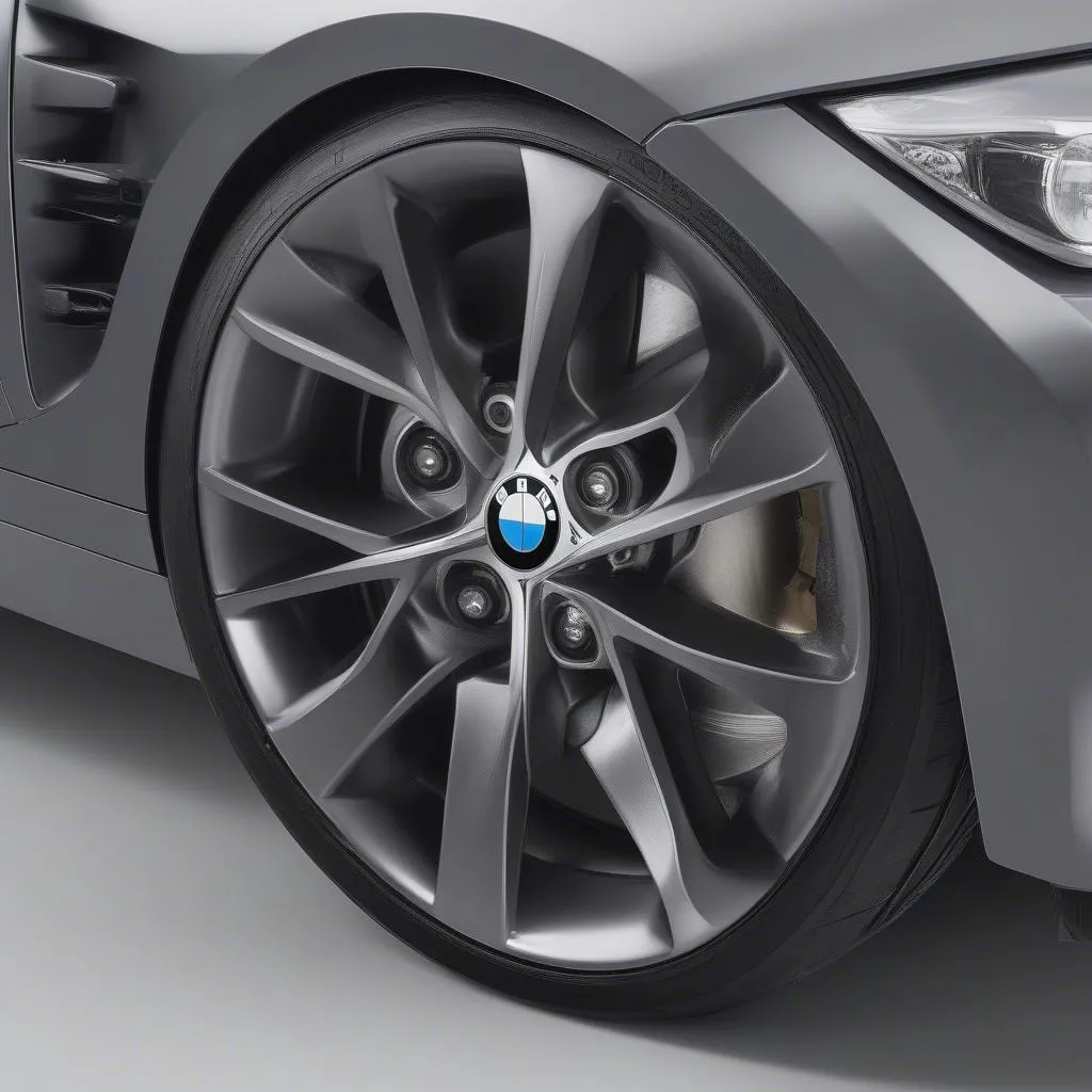 Close-up of a BMW Style 3 wheel