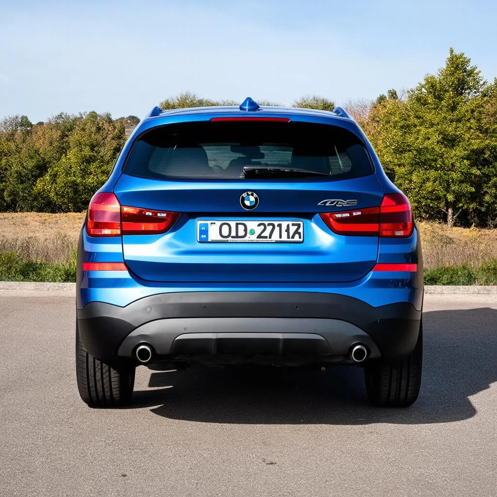 bmw-x1-tires