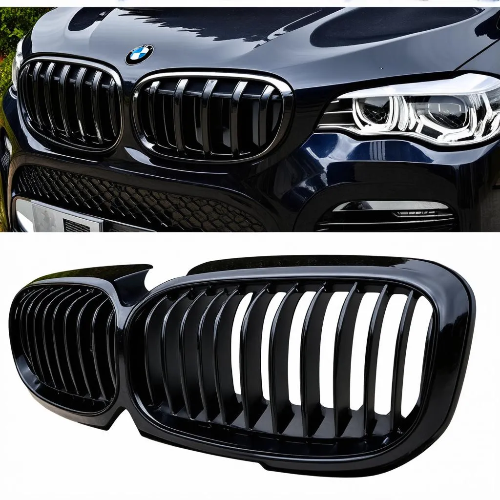 BMW X5 Black Grill with Sporty Design