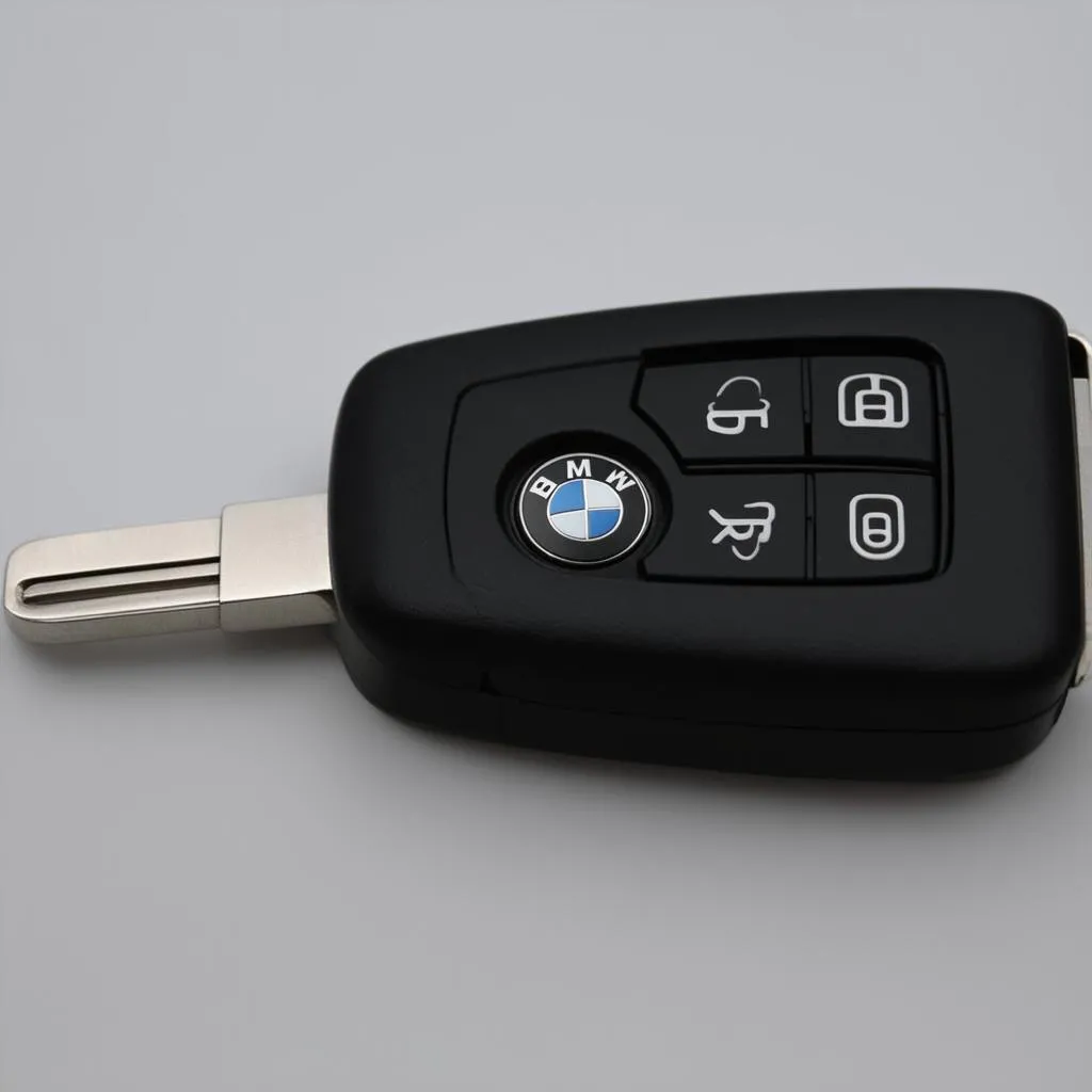 BMW X5 key fob