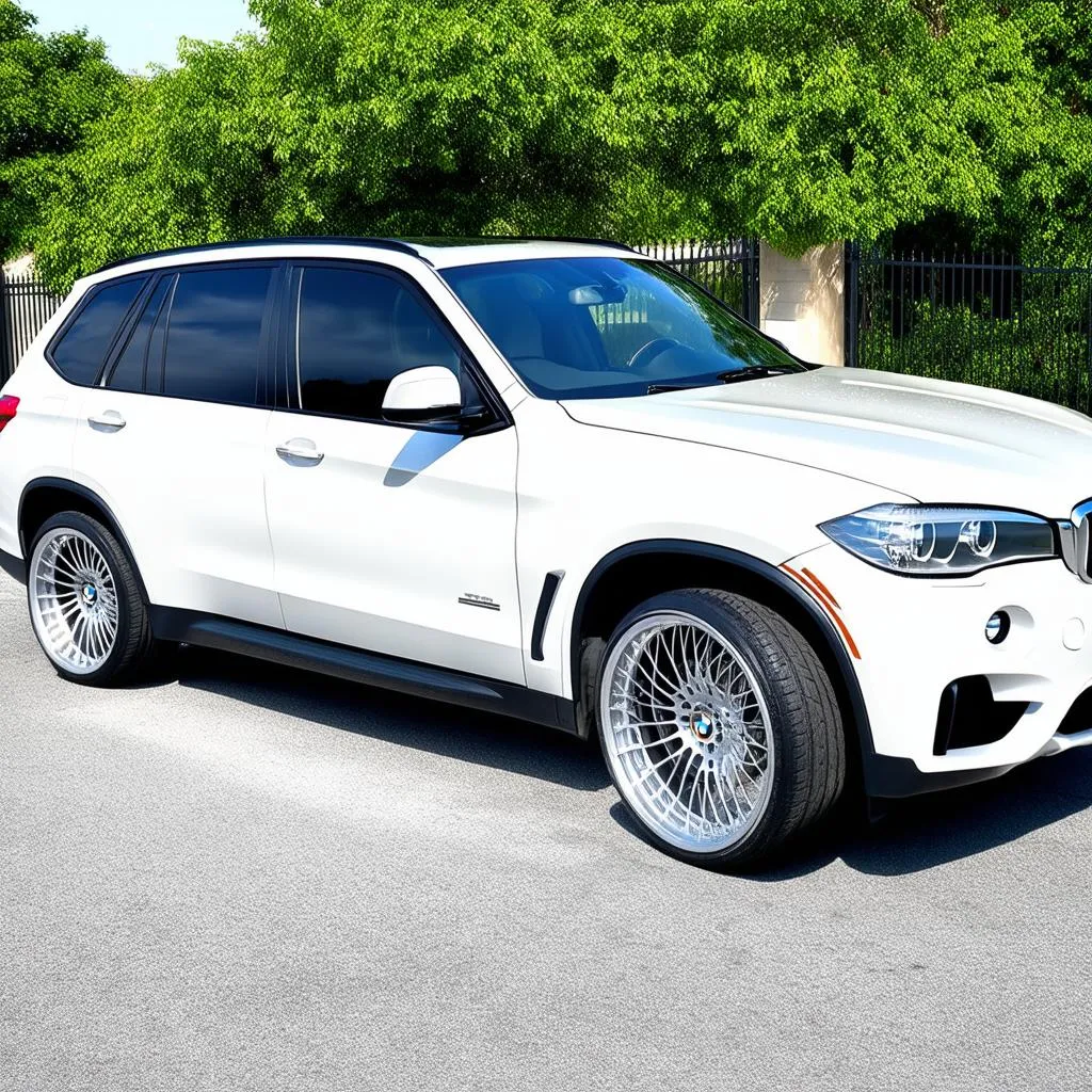 Luxury Rims for BMW X5