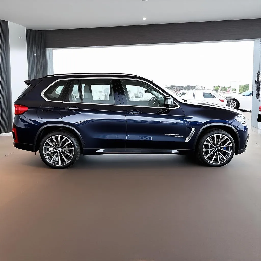 bmw x5 showroom