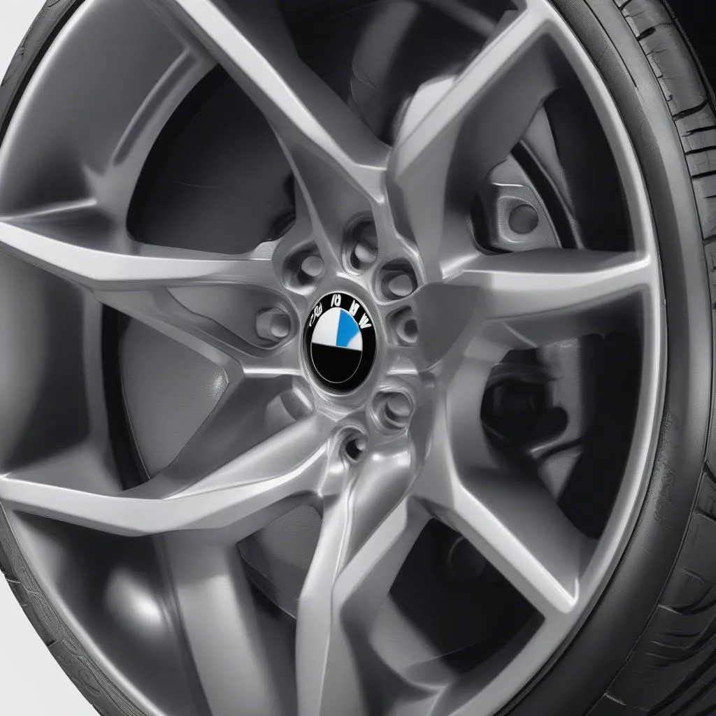 BMW X5 Wheels Closeup