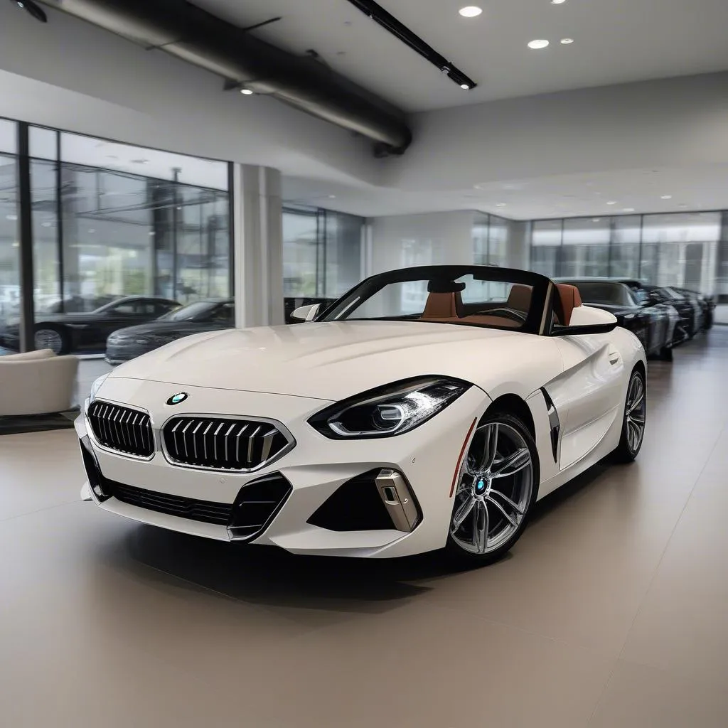 BMW Z4 Atlanta Dealership Interior