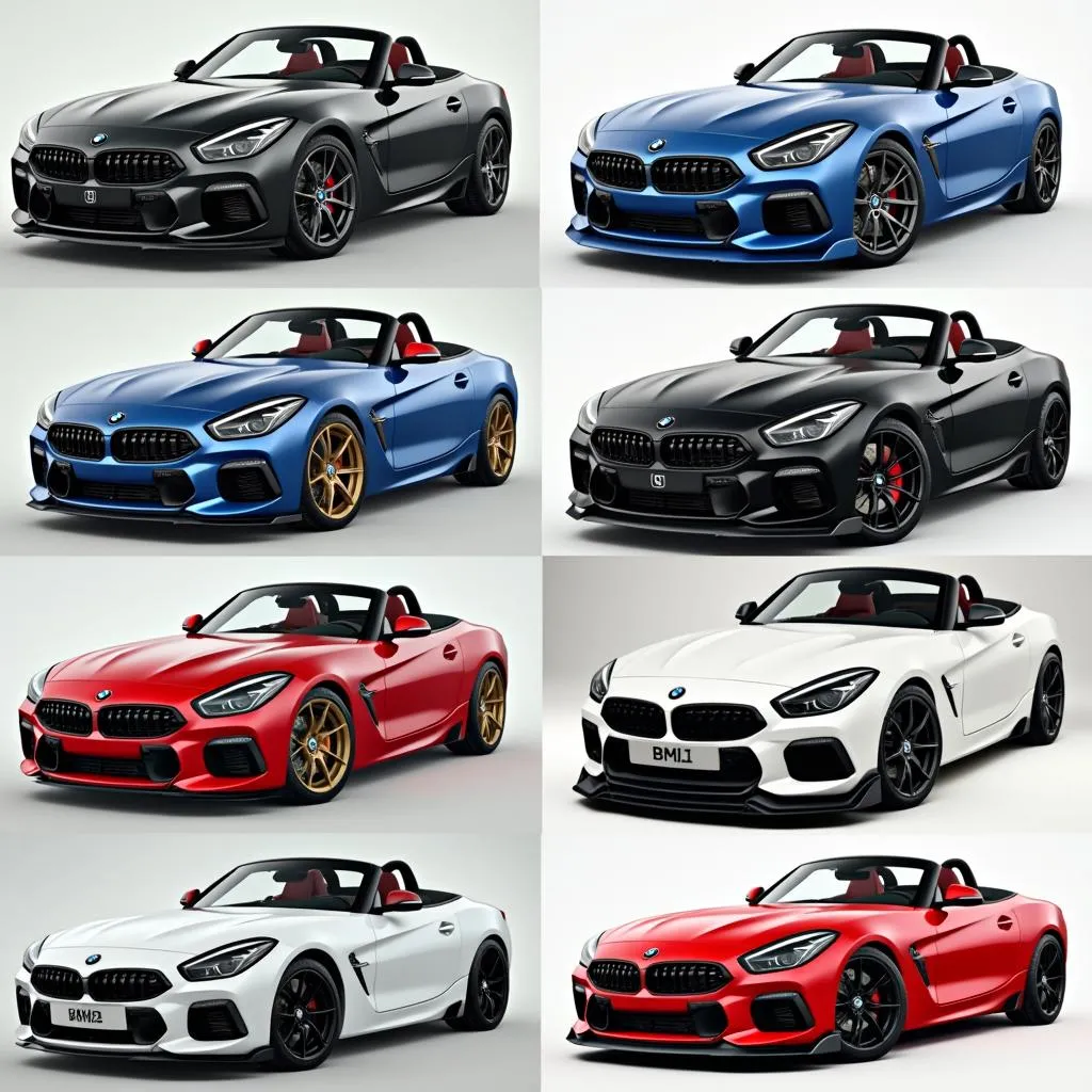 Different Body Kit Styles for BMW Z4