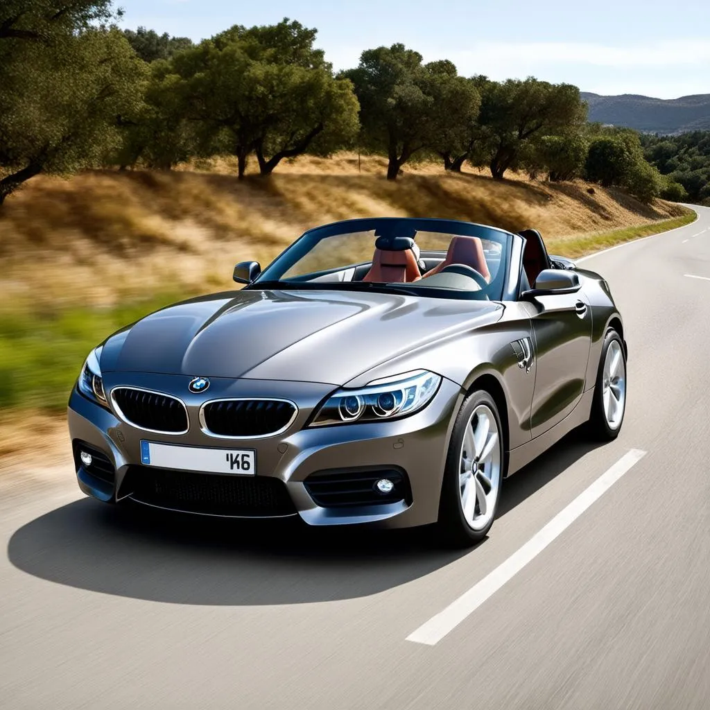 BMW Z4 Exterior Parts