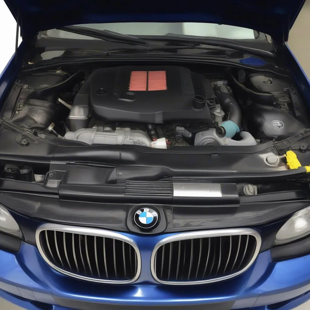 BMW 325i Cooling System