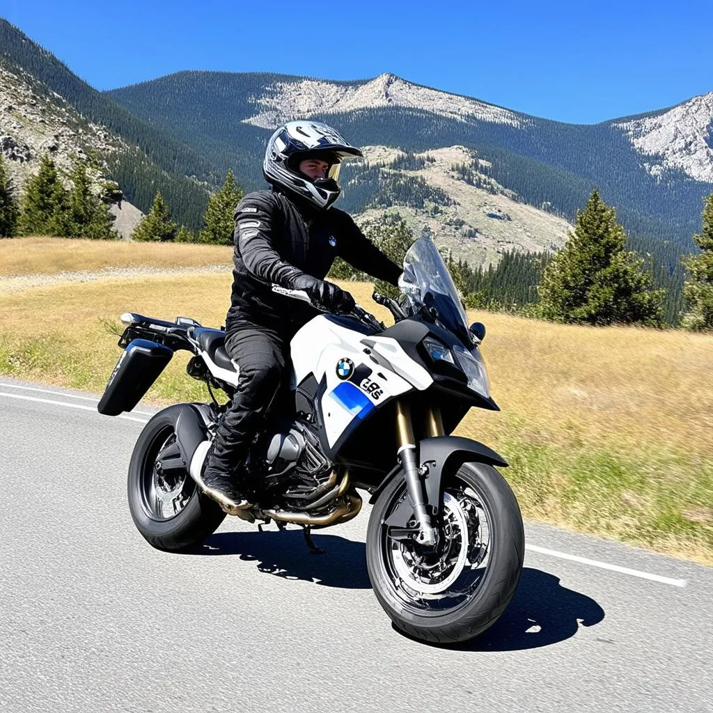 BMW R1200GS Riding on a Mountain Road