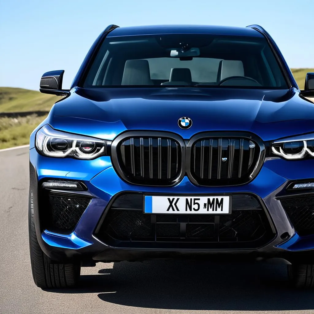 2023 BMW X5 M Exterior