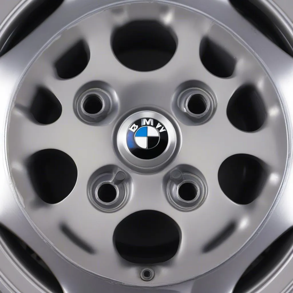 BMW X5 wheel hub