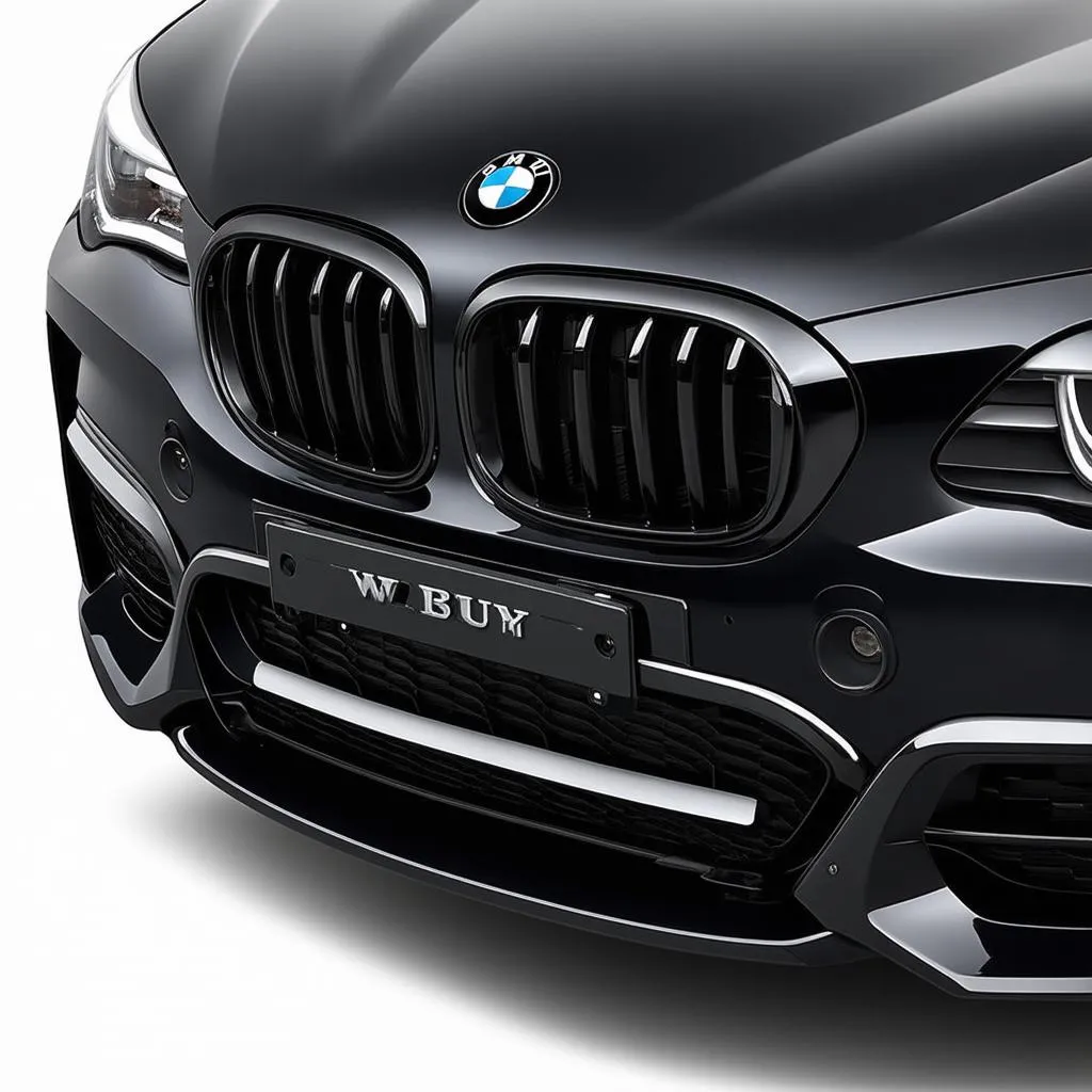 BMW X3 Front License Plate Bracket